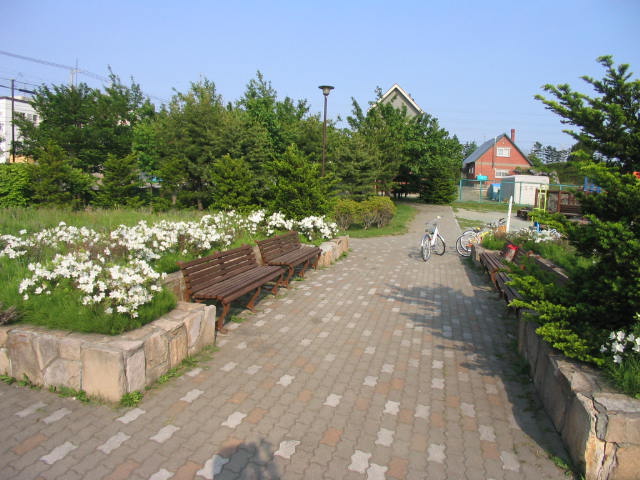 平岡中央公園の写真 出典:札幌市建設局 みどりの推進部 みどりの推進課