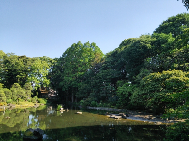 戸越公園の写真 