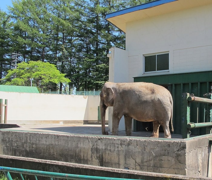 おびひろ動物園の写真 