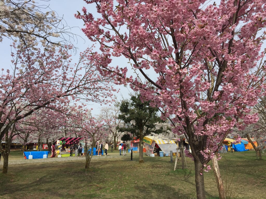 村松公園の写真 ©Tail(CC BY-SA 4.0)