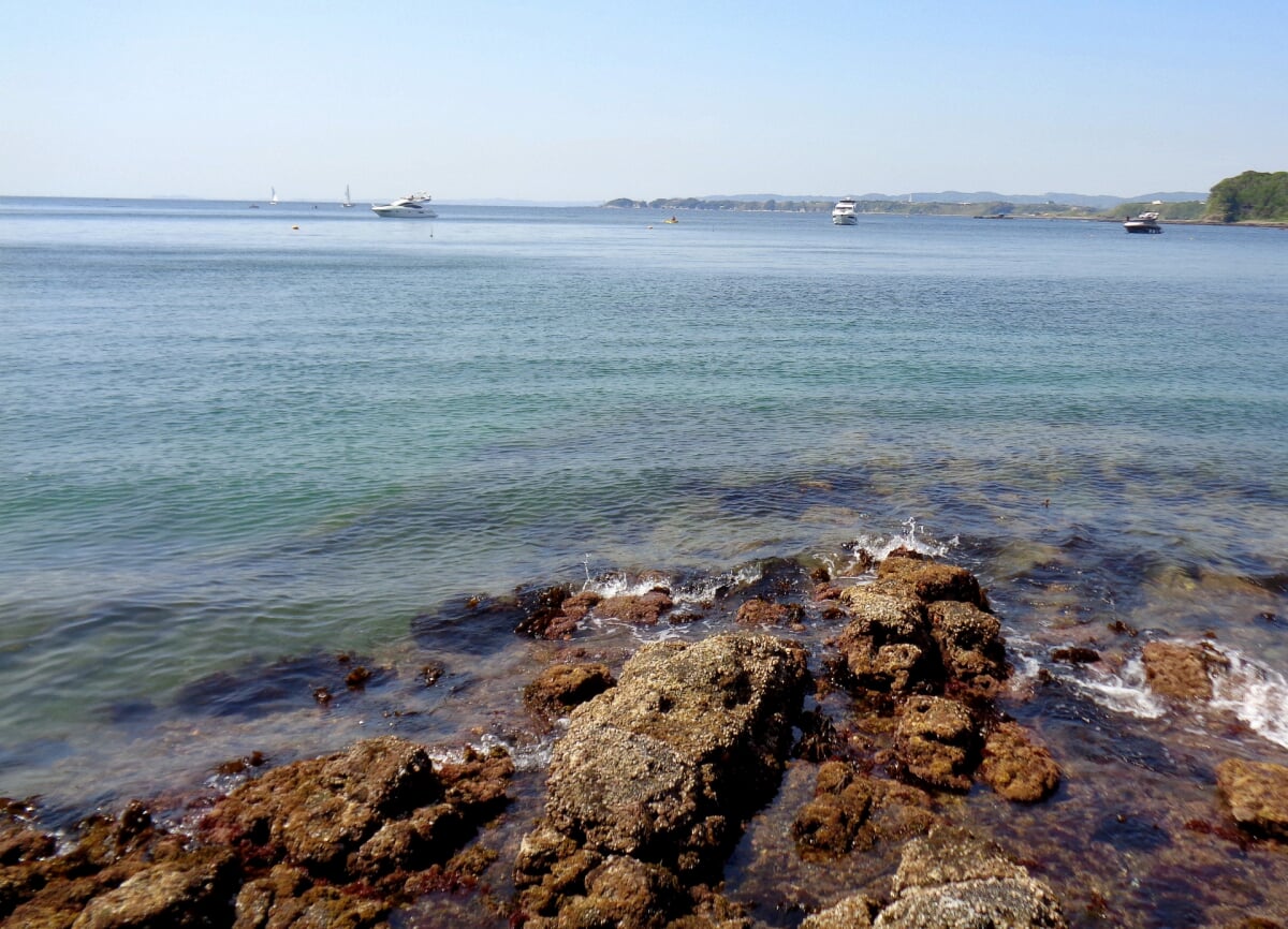 横堀海水浴場の写真 