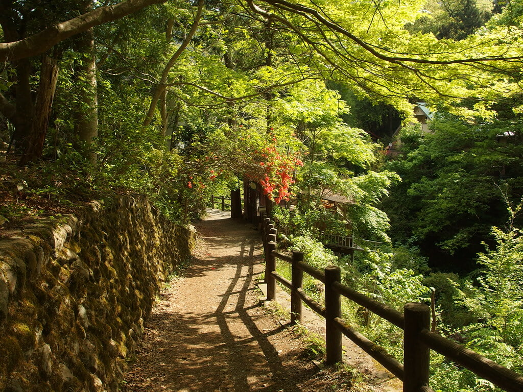 払沢の滝の写真 ©*_*(CC BY 2.0)