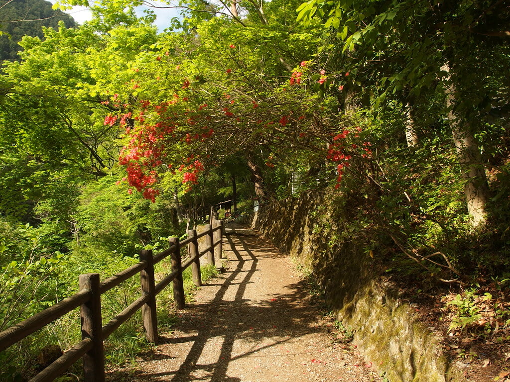 払沢の滝の写真 ©*_*(CC BY 2.0)