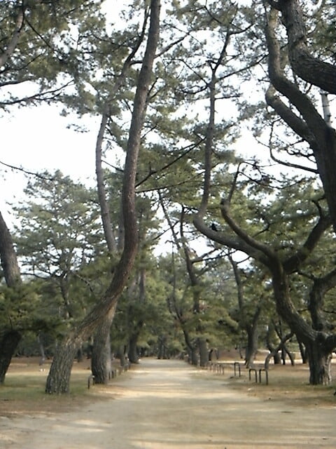 琴弾公園の写真 ©userinjapan(CC BY-SA 2.0)