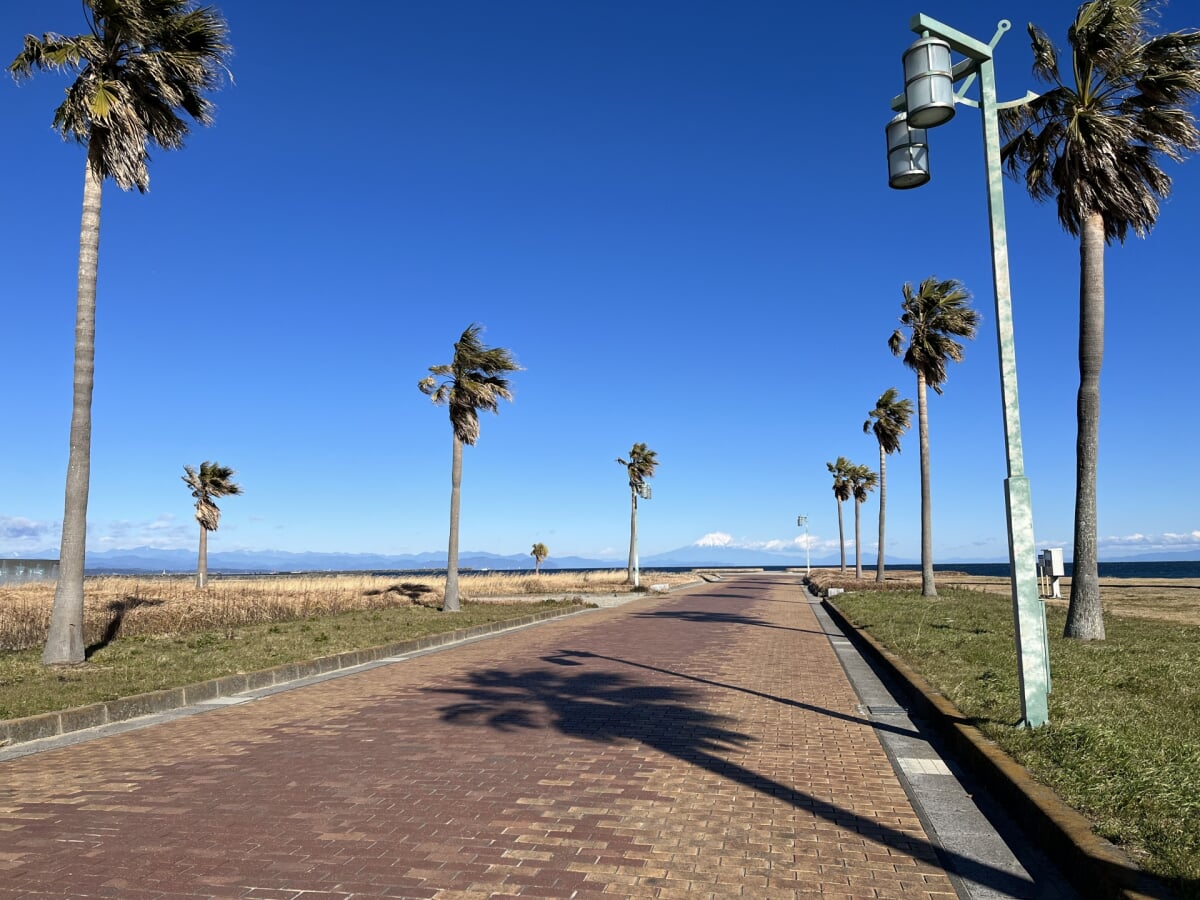 マリンパーク御前崎海水浴場の写真 