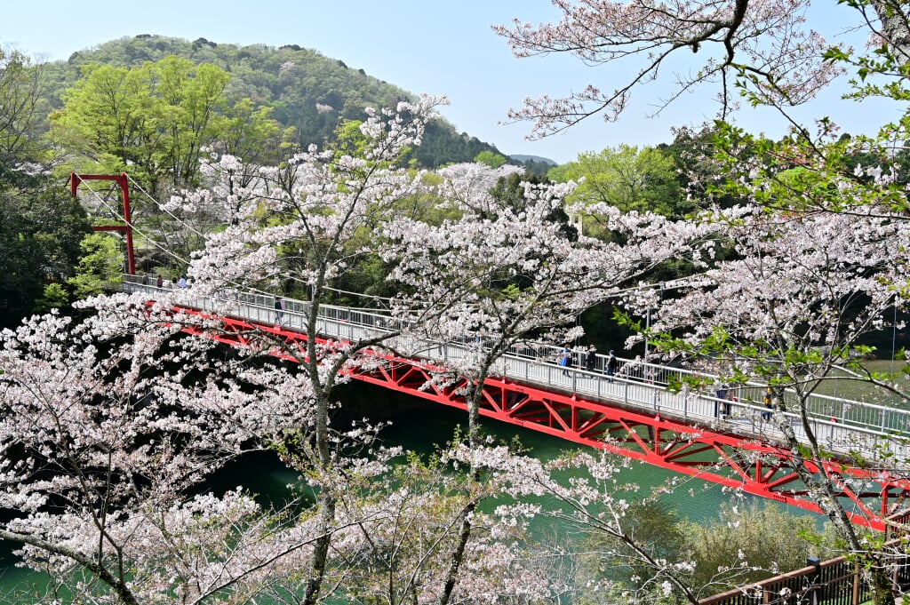 桜淵公園の写真 ©Bariston(CC BY-SA 4.0)