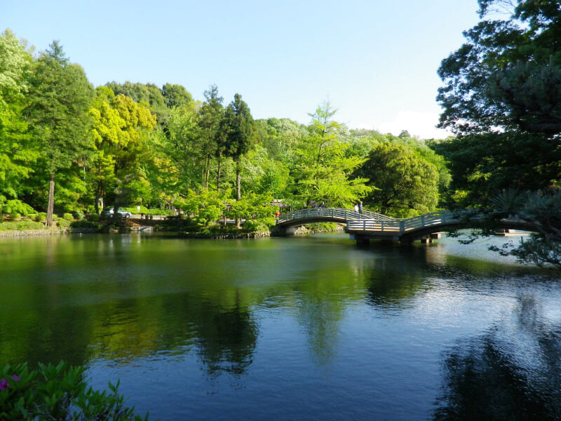 町田薬師池公園 四季彩の杜の写真 ©machiro(CC BY-SA 3.0)