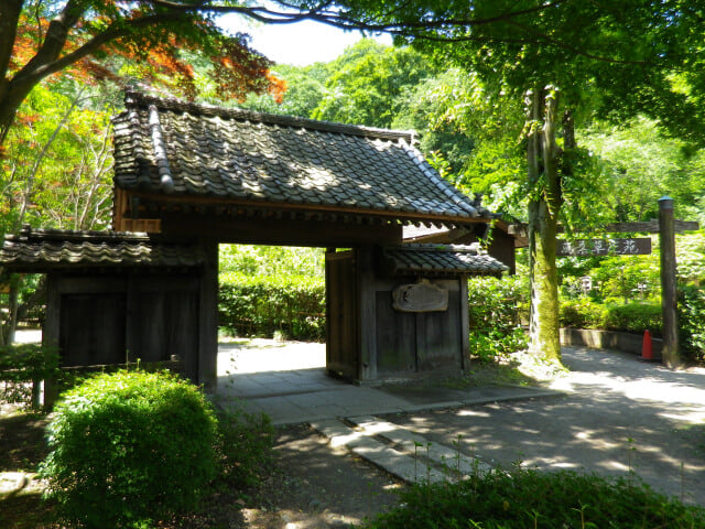 町田薬師池公園 四季彩の杜の写真 ©machiro(CC BY-SA 3.0)