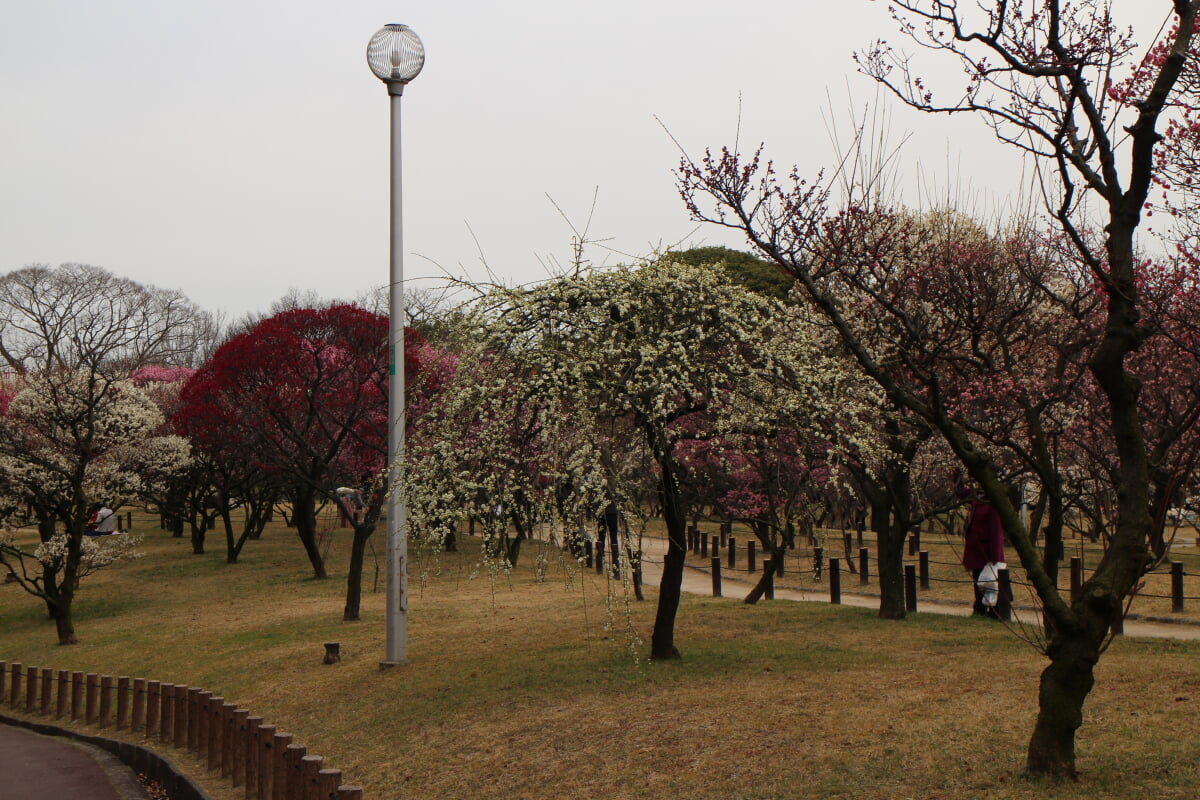 荒山公園の写真 ©Ajax(CC BY-SA 4.0)