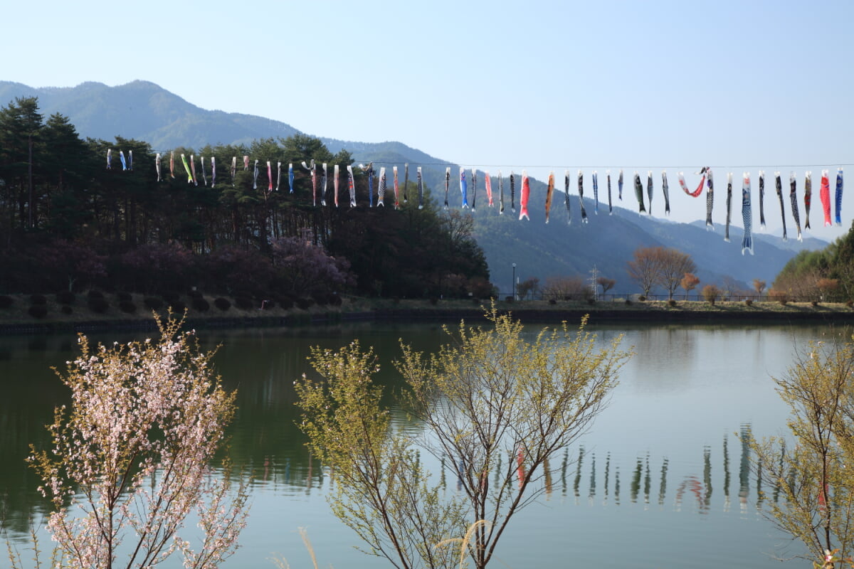 荒山公園の写真 ©Tomio344456(CC BY-SA 3.0)