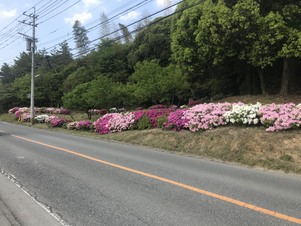 篠栗九大の森の写真 ©そらみみ(CC BY-SA 4.0)