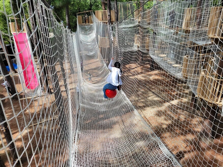 ボウケンノモリ 長居公園の写真 