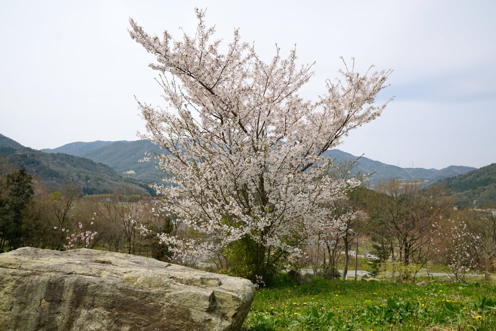 こんだ薬師温泉 ぬくもりの郷の写真 ©663highland(CC-BY-SA-3.0)