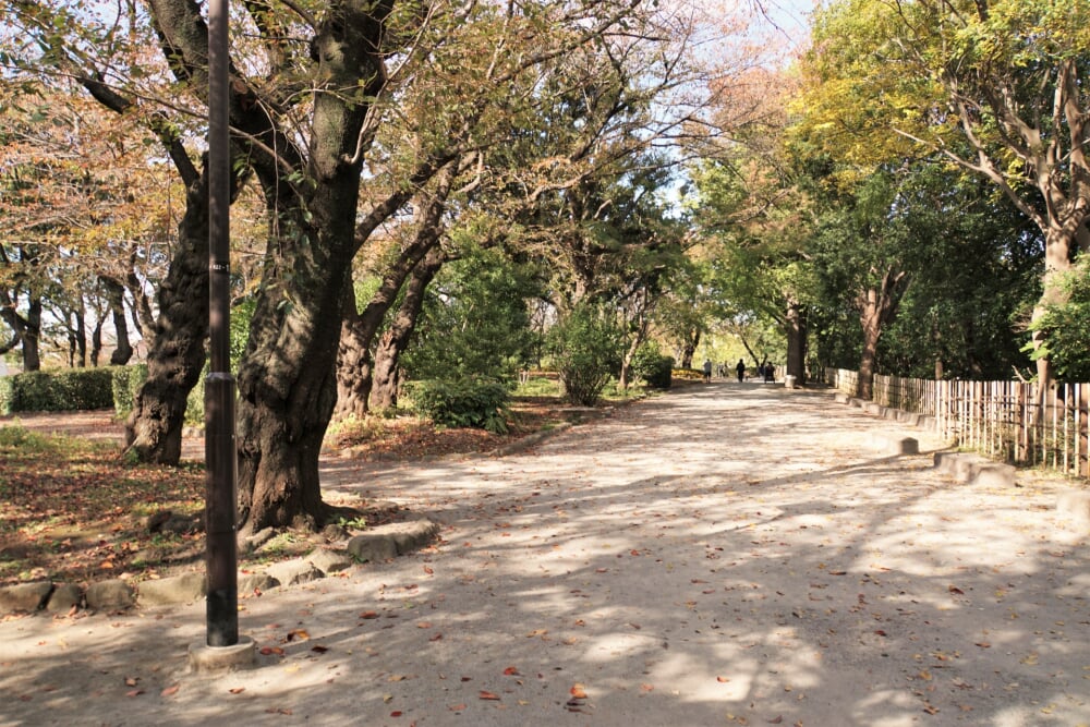 飛鳥山公園の写真 