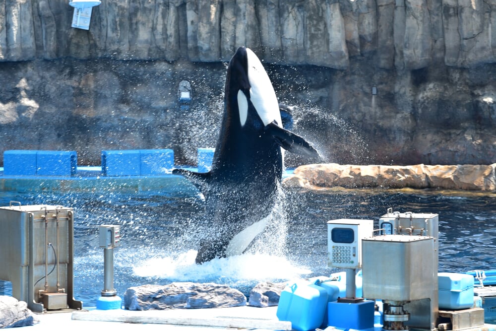 名古屋港水族館の写真 ©Bariston(CC BY-SA 4.0)