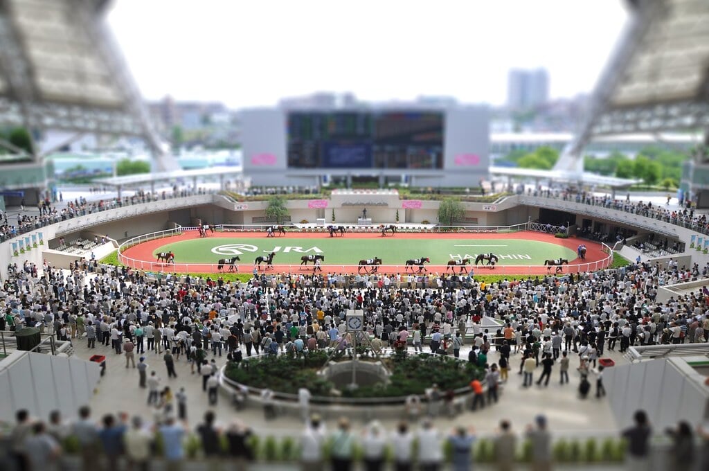 阪神競馬場の写真 ©kanegen(CC BY 2.0)