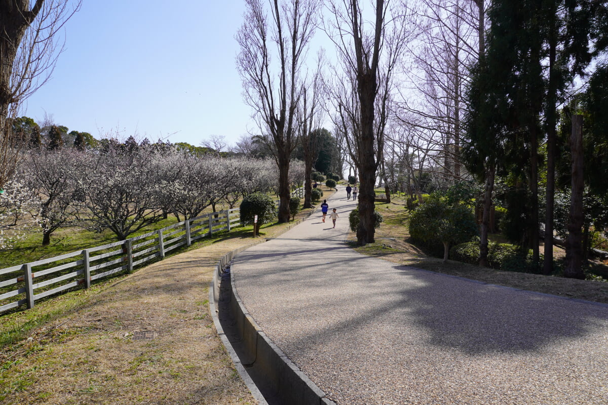 石ケ谷公園の写真 ©Akas1950(CC BY-SA 4.0)