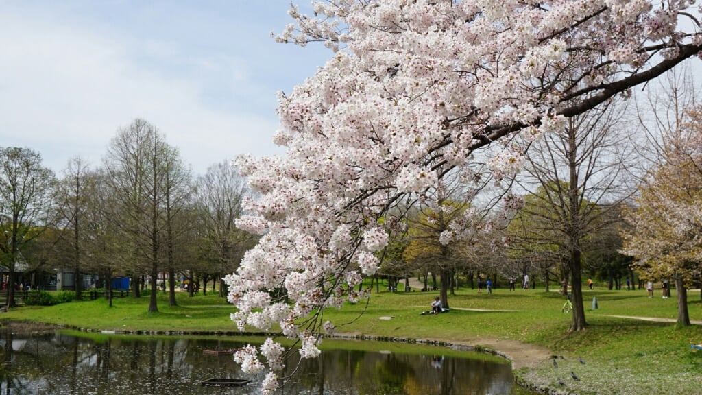 花博記念公園 鶴見緑地の写真 