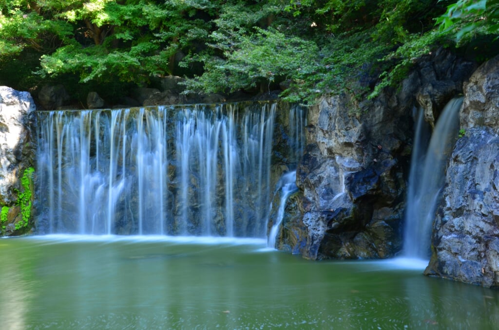 花博記念公園 鶴見緑地の写真 