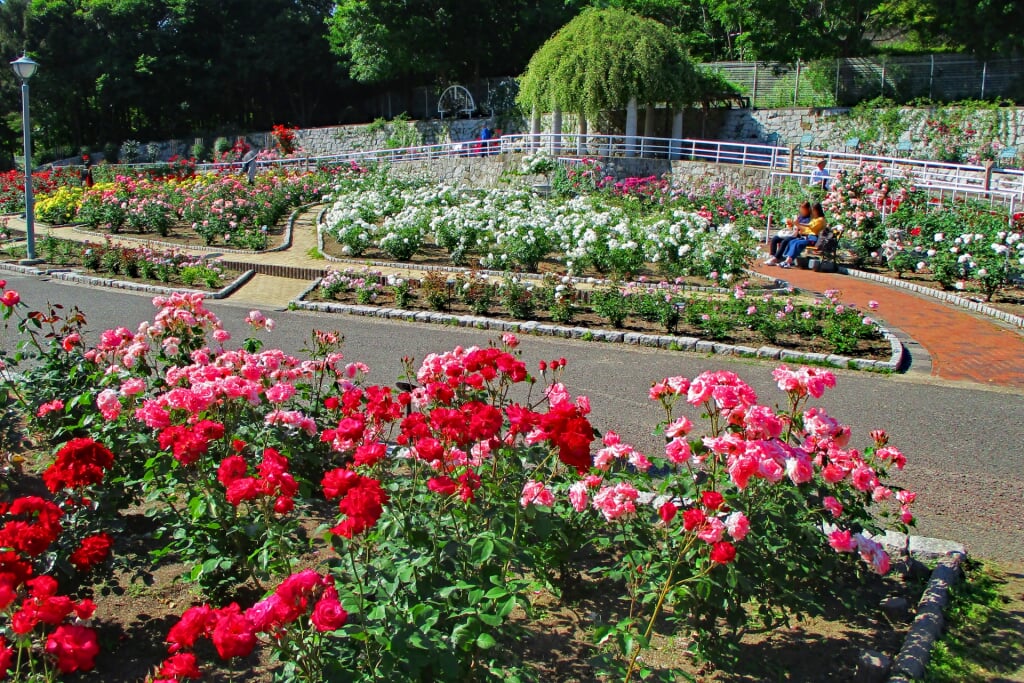 花博記念公園 鶴見緑地の写真 