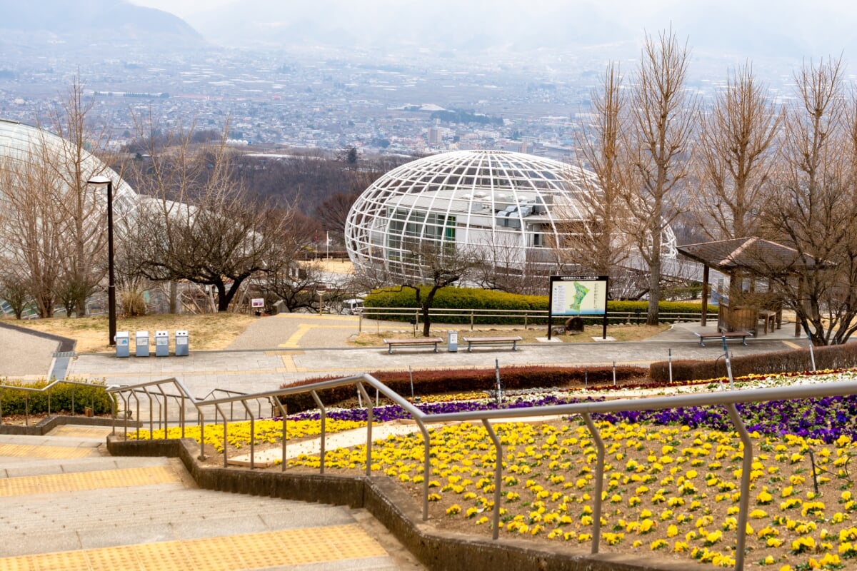 山梨県 笛吹川フルーツ公園の写真 