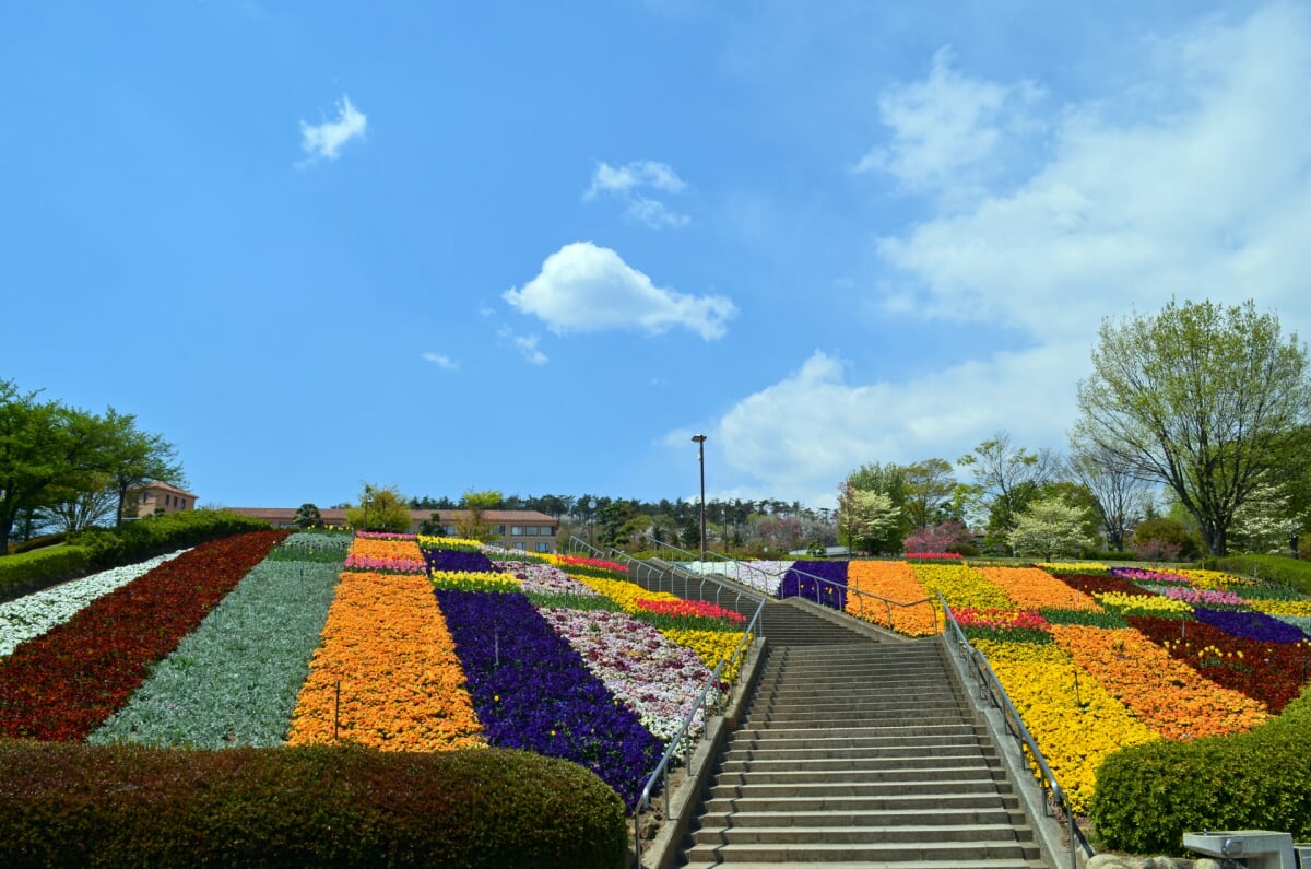 山梨県 笛吹川フルーツ公園の写真 