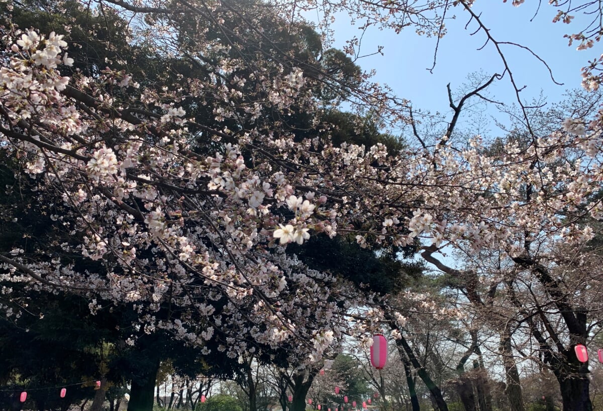 伊勢崎市 華蔵寺公園・遊園地の写真 