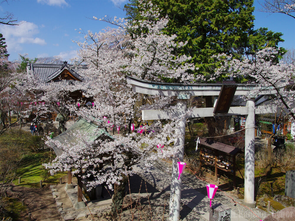 小諸城址（懐古園）の写真 ©Hiroaki Kaneko(CC BY-SA 3.0)