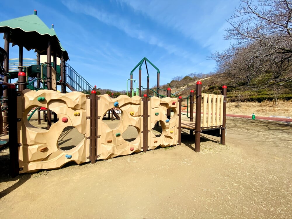 伊勢原市 総合運動公園の写真 