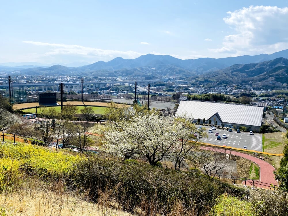 伊勢原市 総合運動公園の写真 