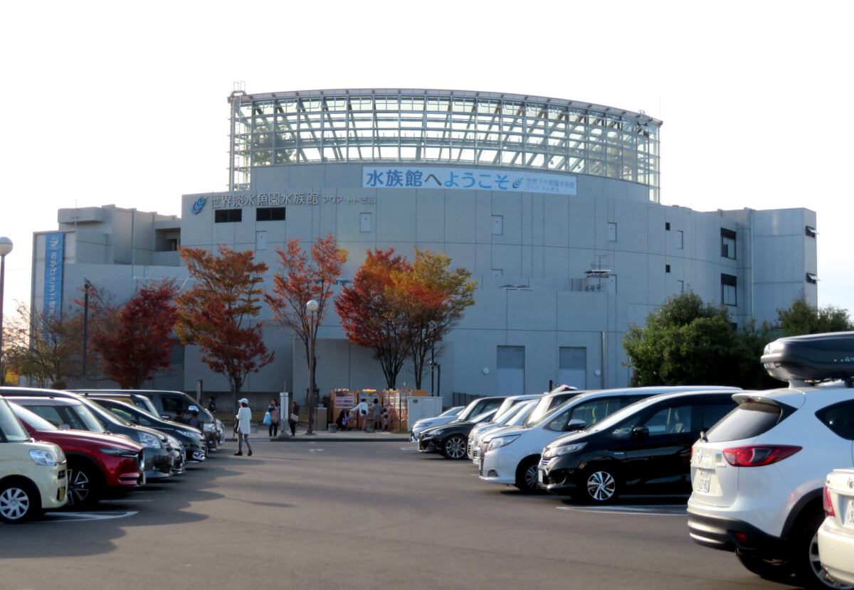 河川環境楽園 オアシスパークの写真 ©KKPCW(CC BY-SA 4.0)