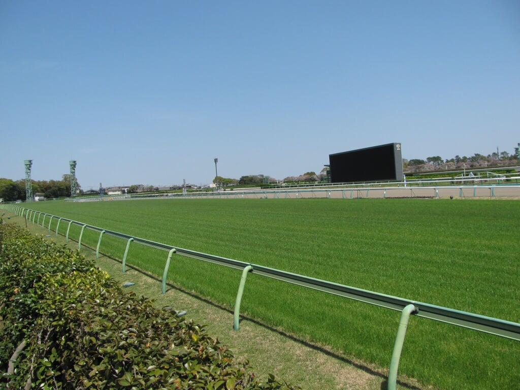 中山競馬場の写真 ©くろふね(CC BY 3.0)