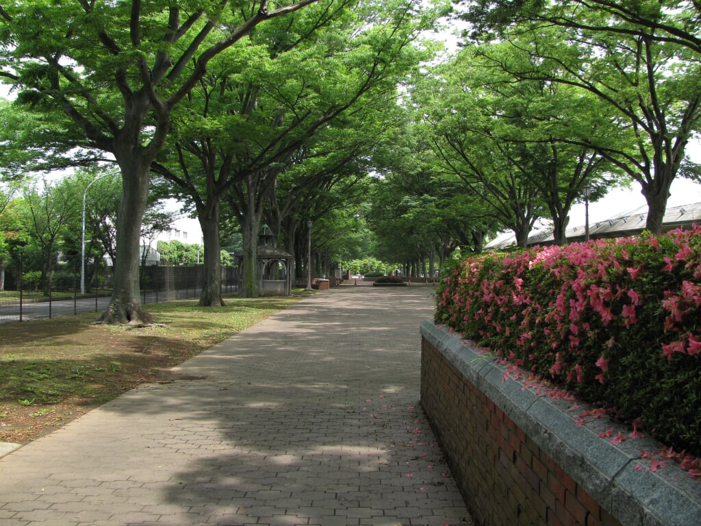 中山競馬場の写真 ©くろふね(CC BY 3.0)