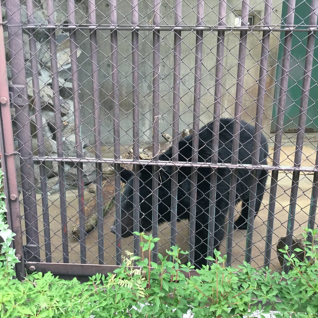 須坂市動物園の写真 ©inunami(CC BY 2.0)