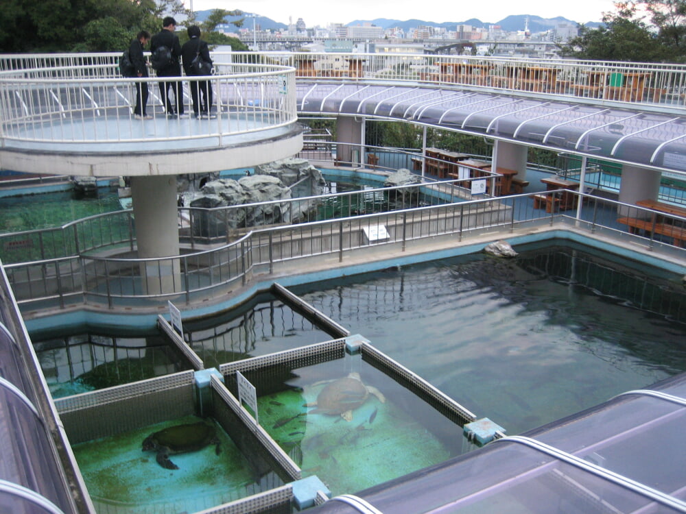 姫路市立水族館の写真 ©Corpse Reviver(CC-BY-SA-3.0)