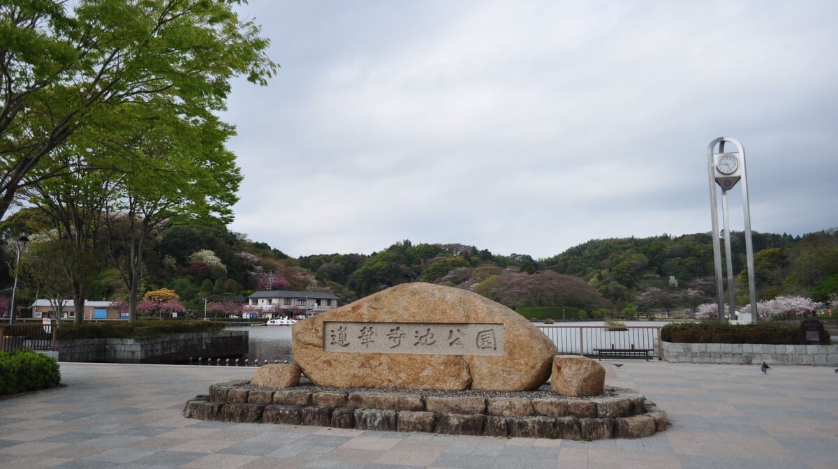 蓮華寺池公園の写真 ©江戸村のとくぞう(CC BY-SA 4.0)