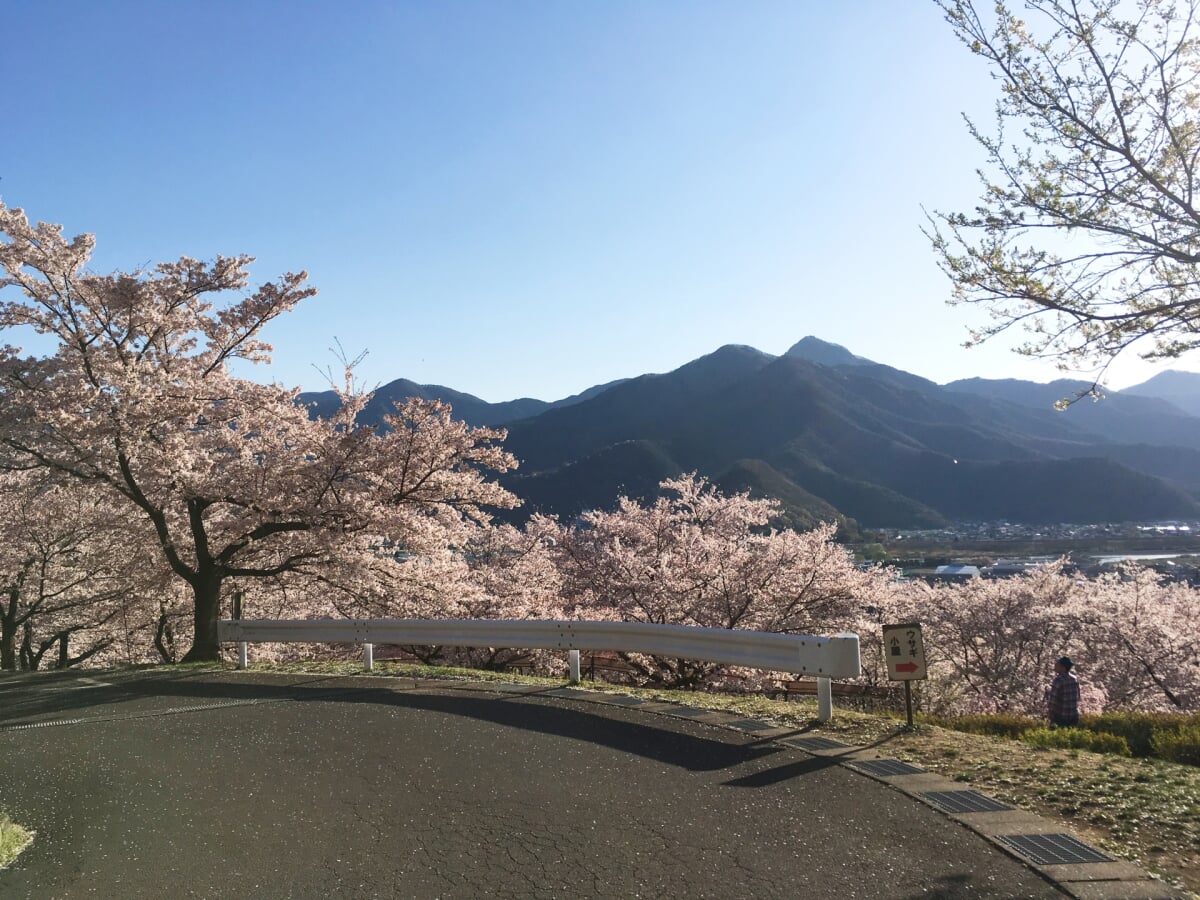 戸倉宿キティパークの写真 