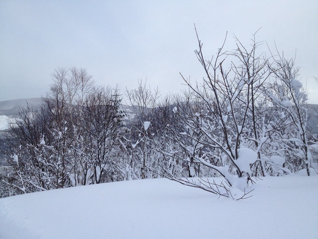 朝里川温泉スキー場の写真 ©y_ogagaga(CC BY 2.0)