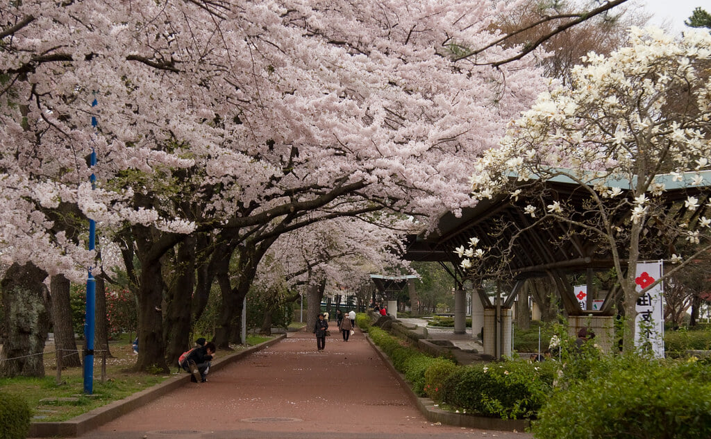 榴岡公園の写真 ©KimonBerlin(CC BY-SA 2.0)