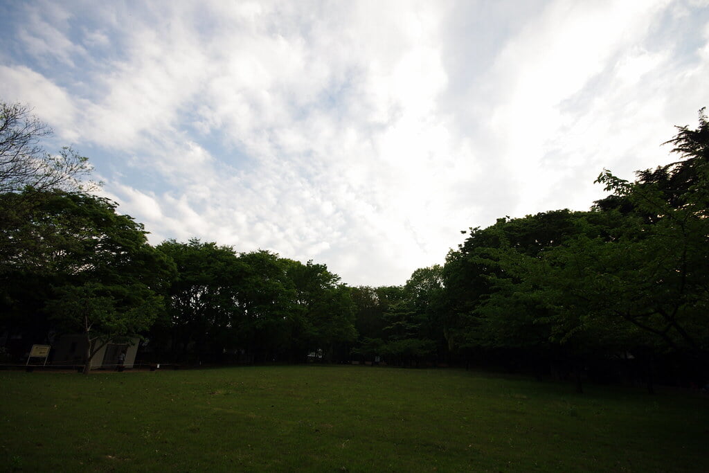 林試の森公園の写真 ©Twang_Dunga(CC BY 2.0)