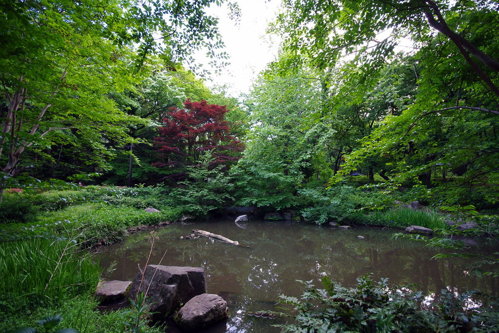 林試の森公園の写真 ©Twang_Dunga(CC BY 2.0)