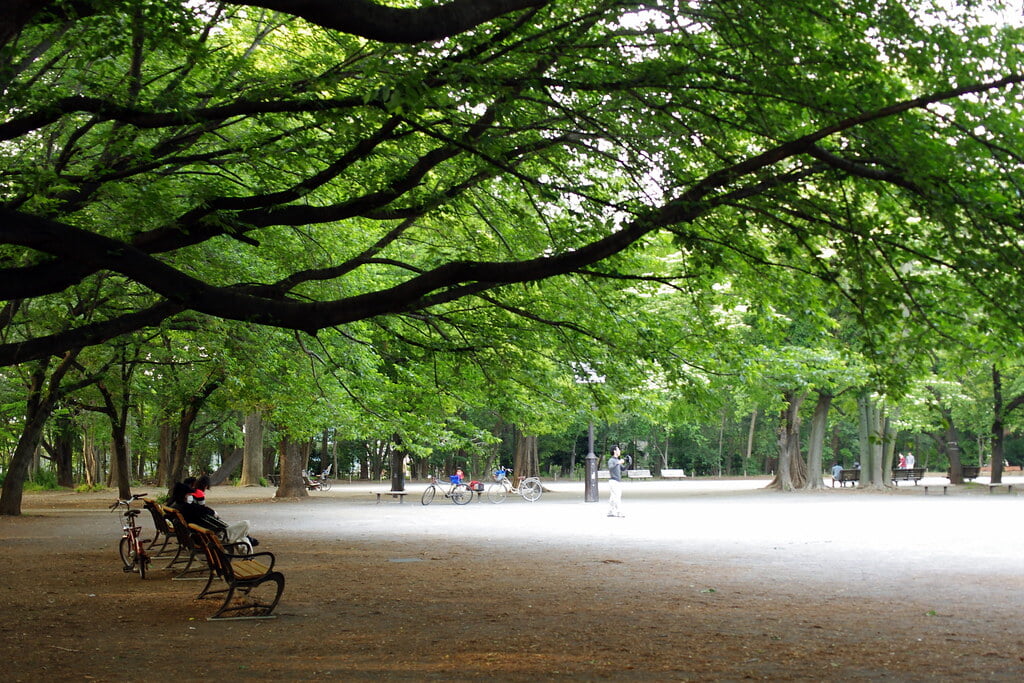 林試の森公園の写真 ©Twang_Dunga(CC BY 2.0)