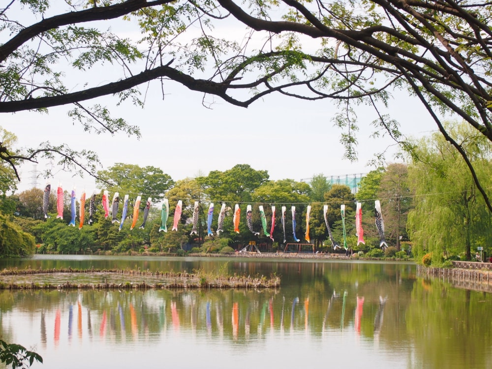 善福寺公園の写真 