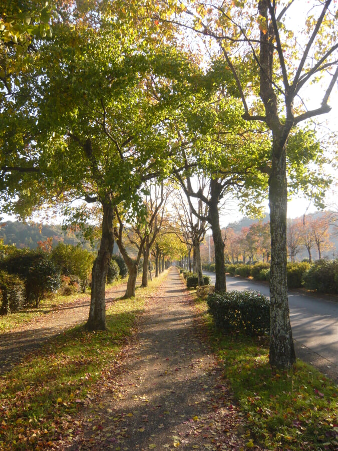 岐阜県百年公園の写真 ©Hide-sp(CC BY-SA 3.0)