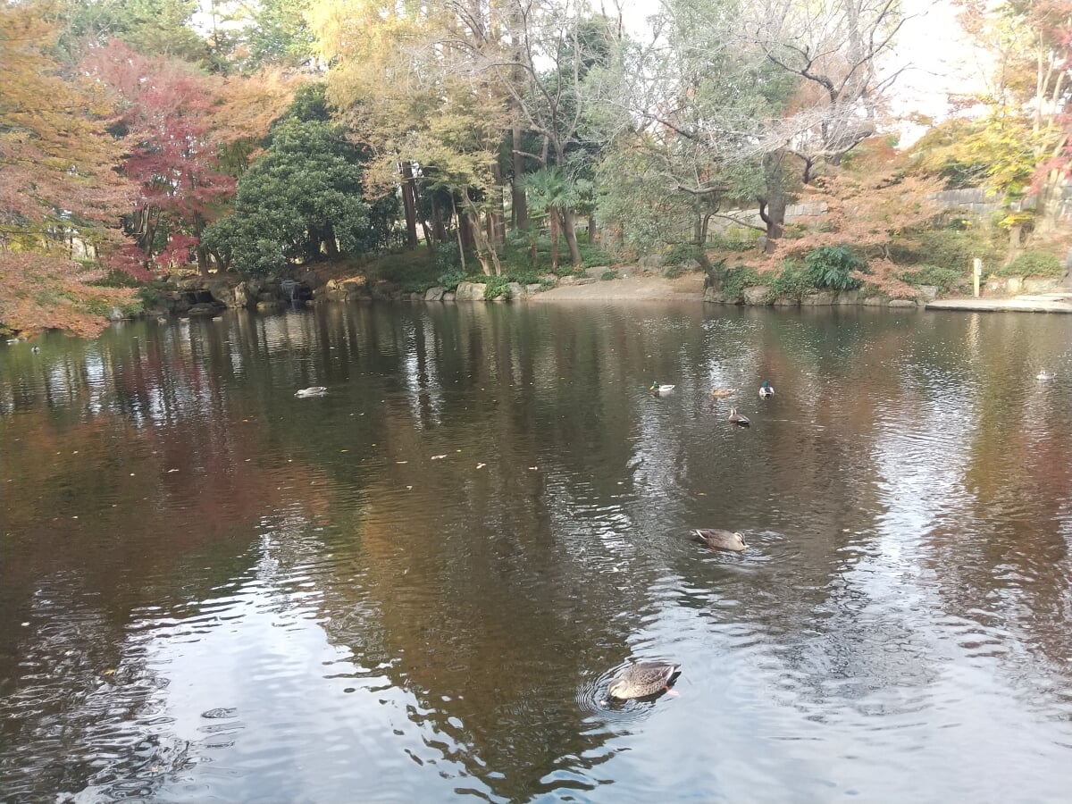 上尾丸山公園の写真 ©ミラー・ハイト(CC BY-SA 4.0)