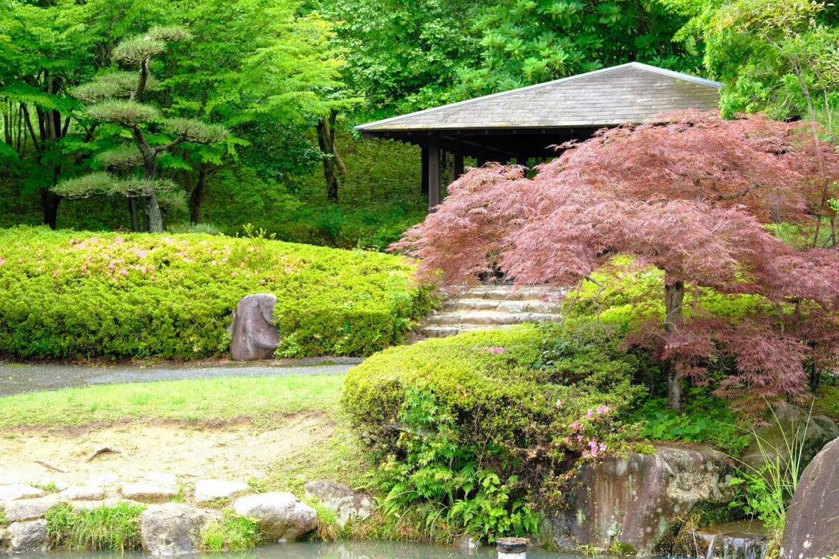 多可町余暇村公園の写真 