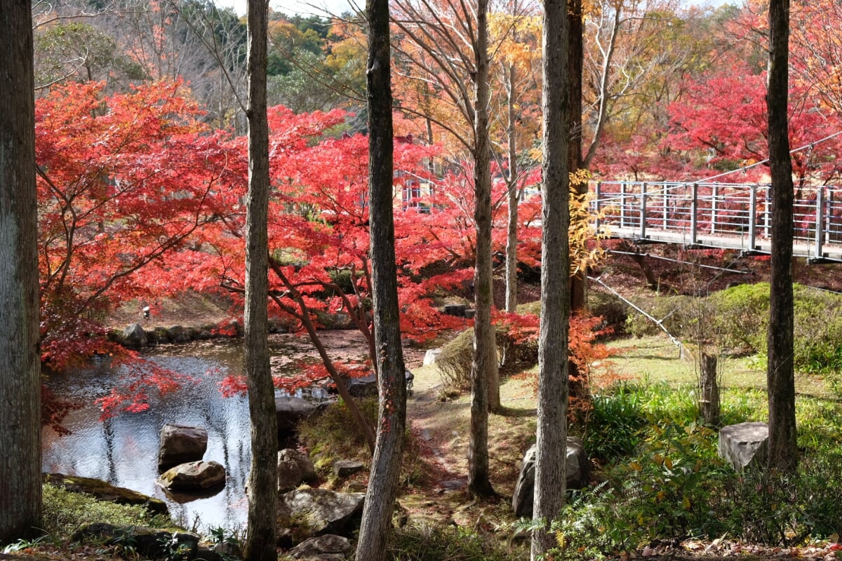 多可町余暇村公園の写真 