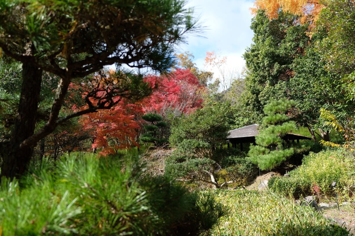 多可町余暇村公園の写真 