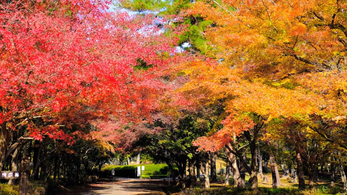 多可町余暇村公園の写真 