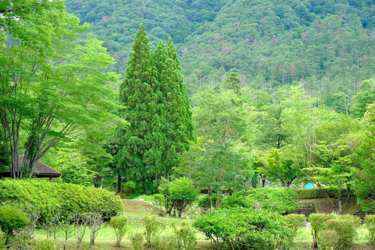 多可町余暇村公園の写真 